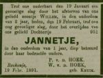 Hoek van der Jannetje-NBC-22-02-1891 (n.n.).jpg